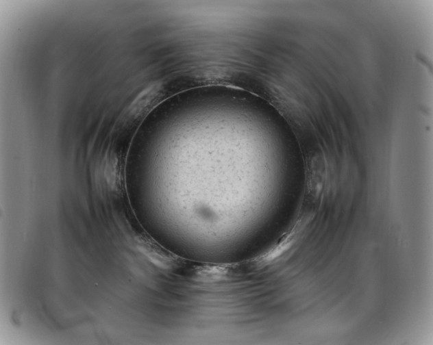 X0000098160140200804241812