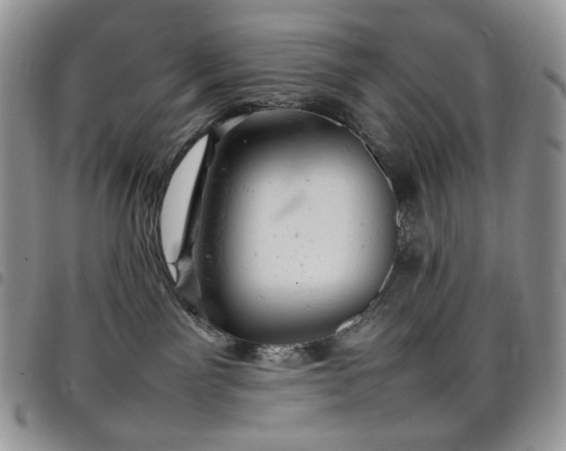 X0000098160141200804241812