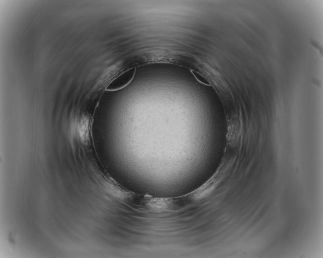 X0000098160142200804241812