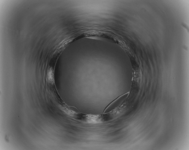 X0000098160143200804241812