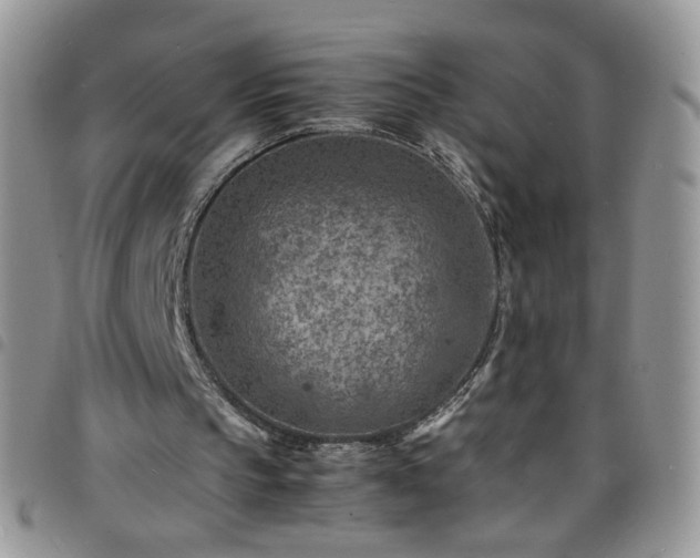 X0000098160145200804241811