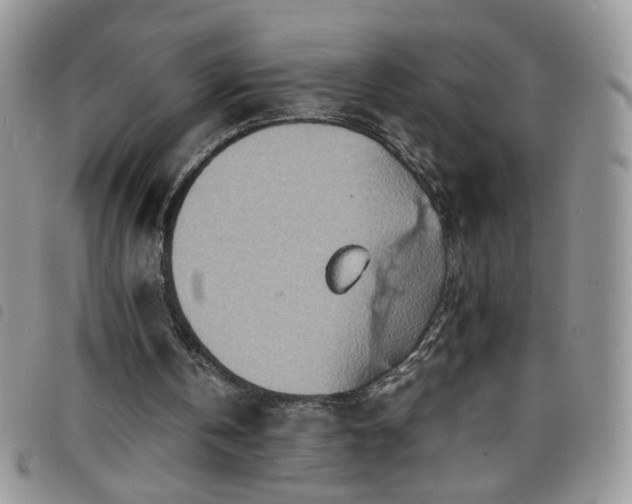 X0000098160146200804241811