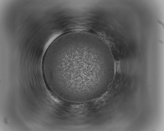 X0000098160147200804241811