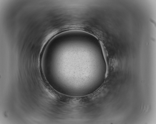 X0000098160148200804241811