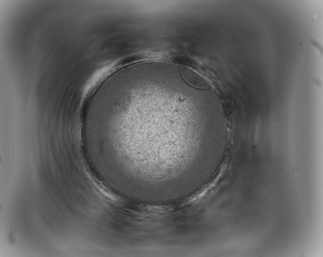 X0000098160149200804241811