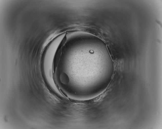 X0000098160150200804241811