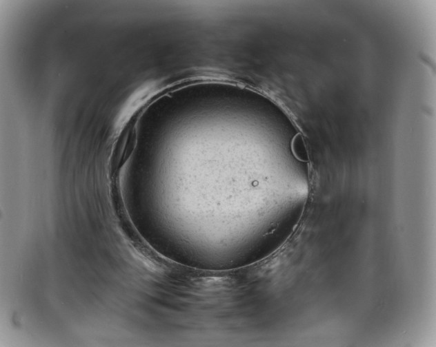 X0000098160151200804241811