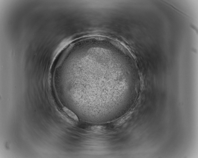 X0000098160152200804241811