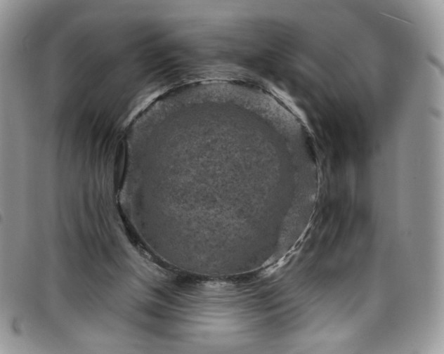 X0000098160154200804241811