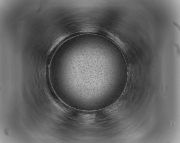 X0000098160155200804241811