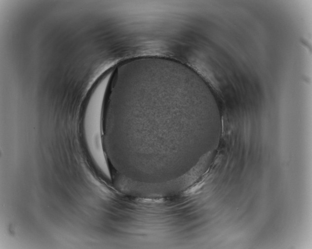 X0000098160156200804241811