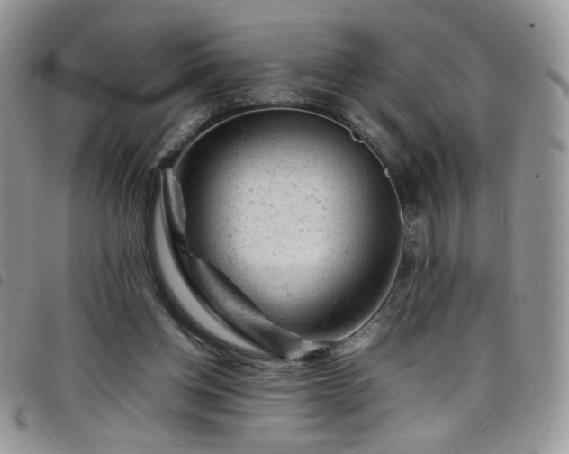 X0000098160158200804241812
