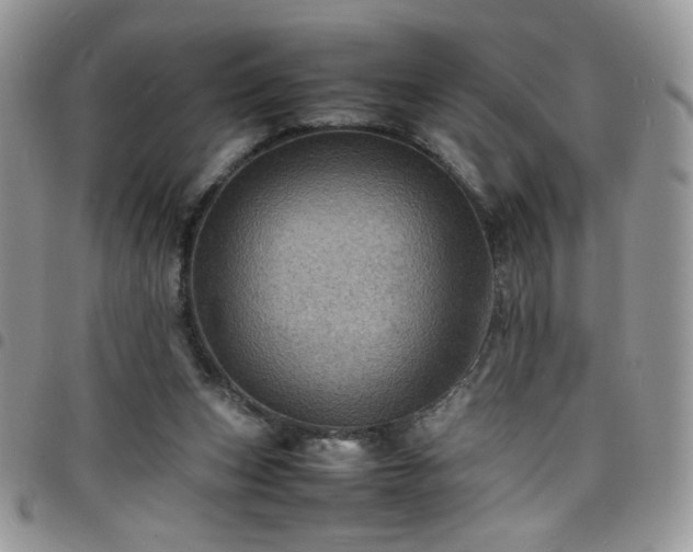 X0000098160159200804241812