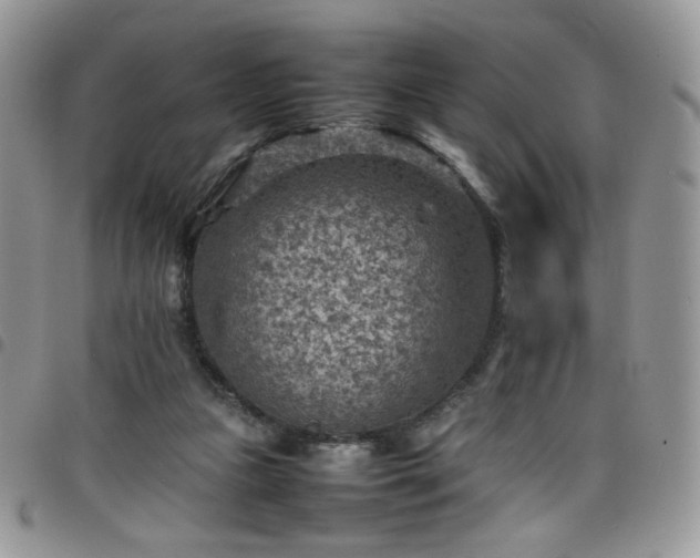X0000098160161200804241812