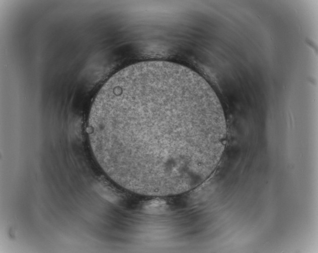 X0000098160162200804241812