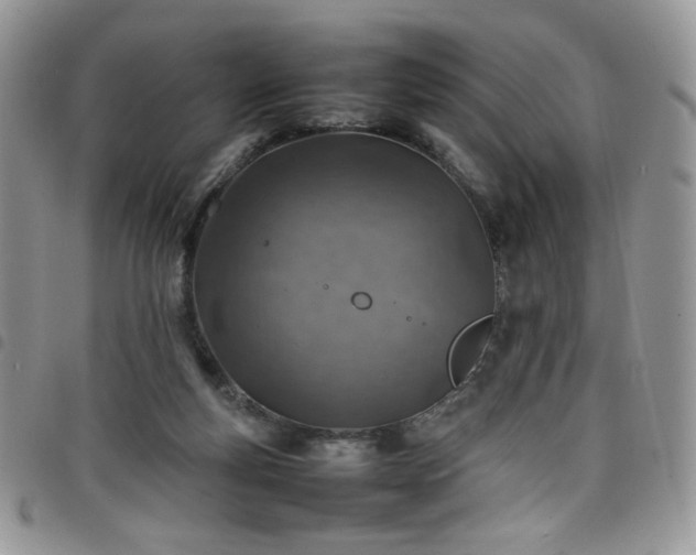 X0000098160163200804241812