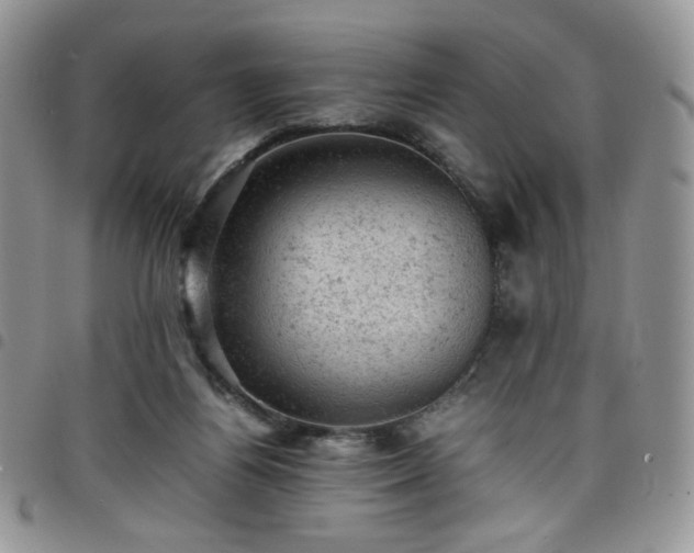 X0000098160164200804241812