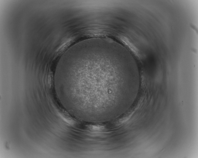 X0000098160165200804241812