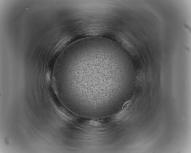 X0000098160166200804241812