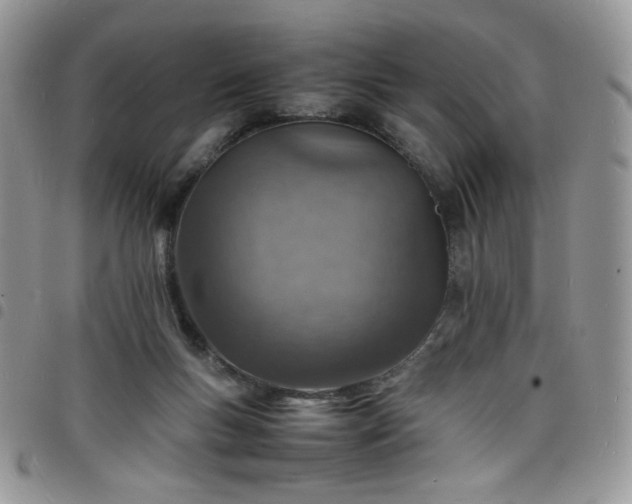 X0000098160167200804241812