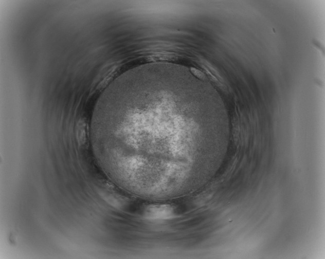 X0000098160169200804241812