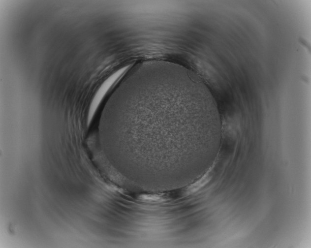 X0000098160170200804241812