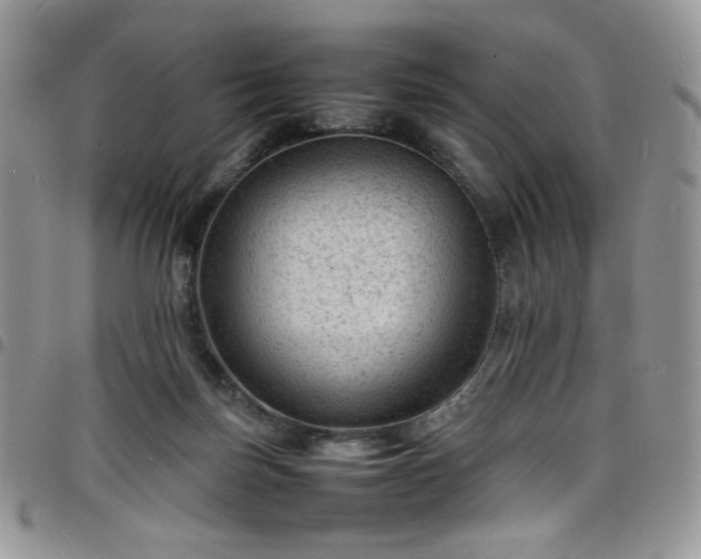 X0000098160171200804241812