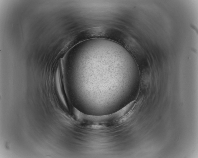 X0000098160172200804241812