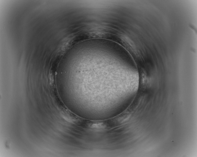 X0000098160173200804241812
