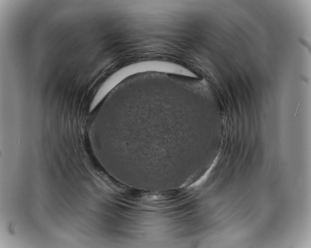 X0000098160174200804241812