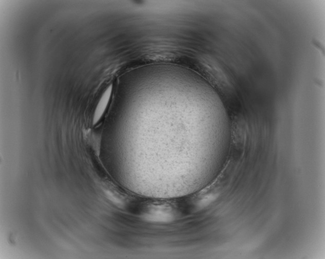 X0000098160175200804241812