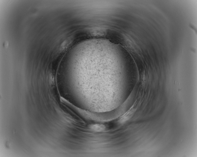 X0000098160176200804241812