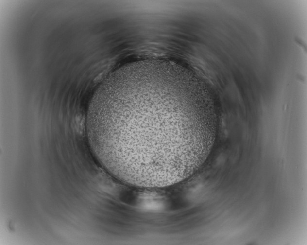 X0000098160177200804241812