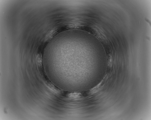 X0000098160179200804241812