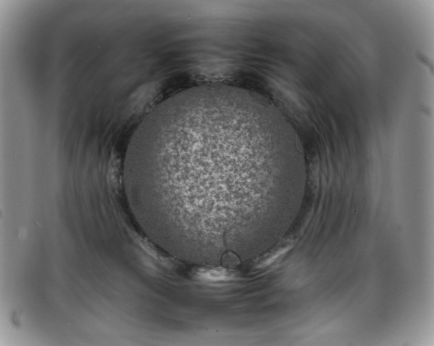 X0000098160181200804241812