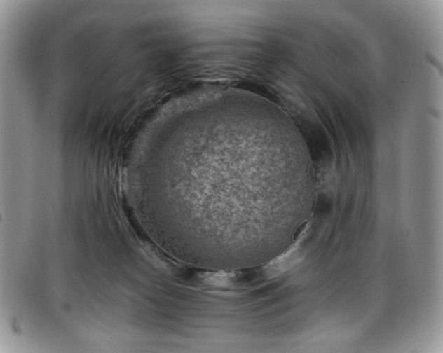 X0000098160182200804241812