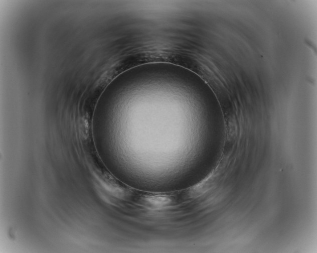 X0000098160183200804241812