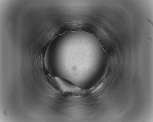 X0000098160184200804241812