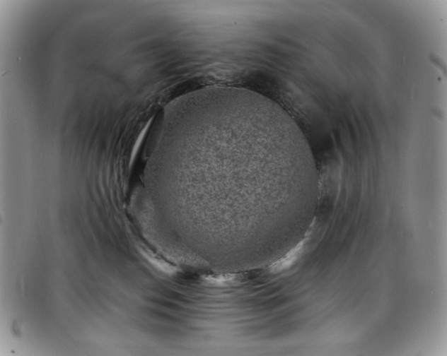 X0000098160186200804241812