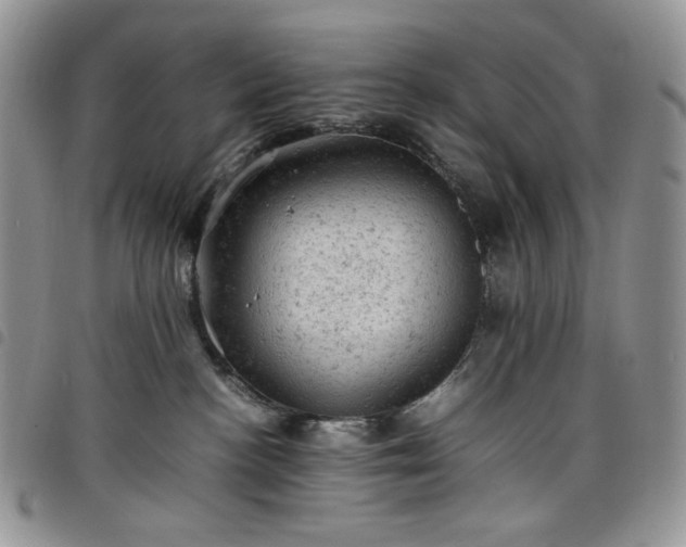 X0000098160188200804241812