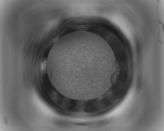 X0000098160190200804241812
