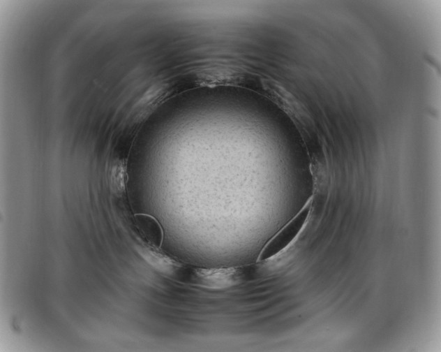 X0000098160191200804241812