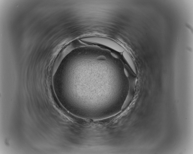 X0000098160193200804241811