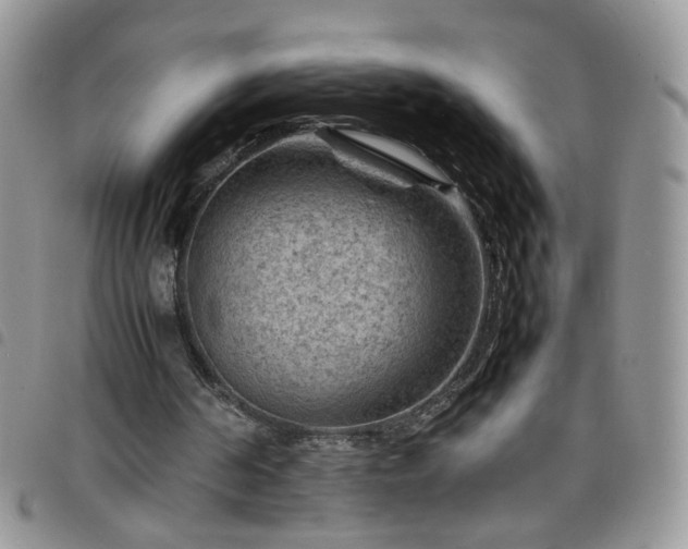 X0000098160194200804241811