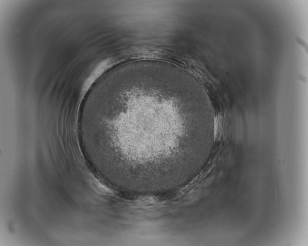 X0000098160195200804241811