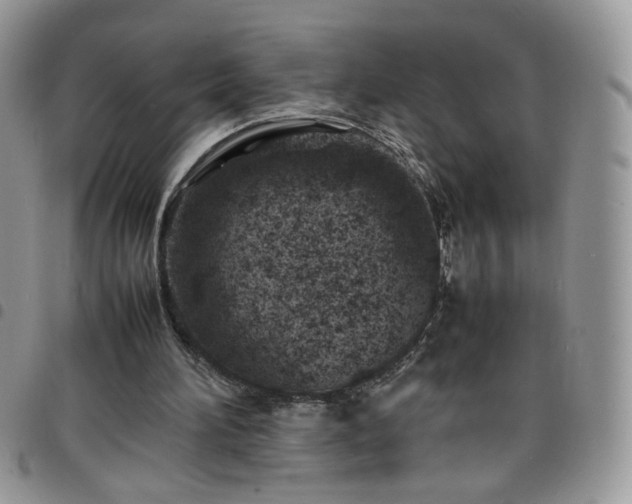 X0000098160196200804241811