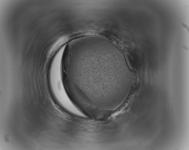 X0000098160197200804241811