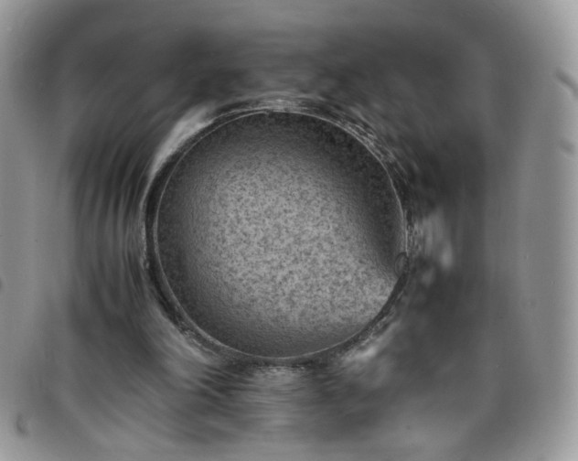 X0000098160198200804241811