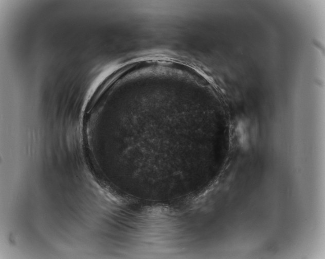 X0000098160200200804241811