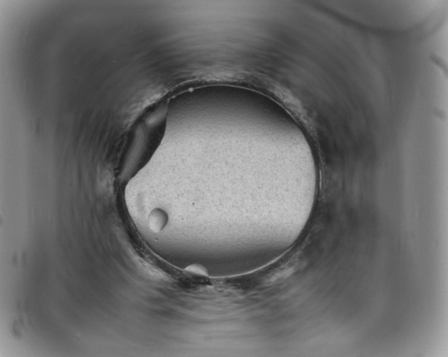 X0000098160201200804241811